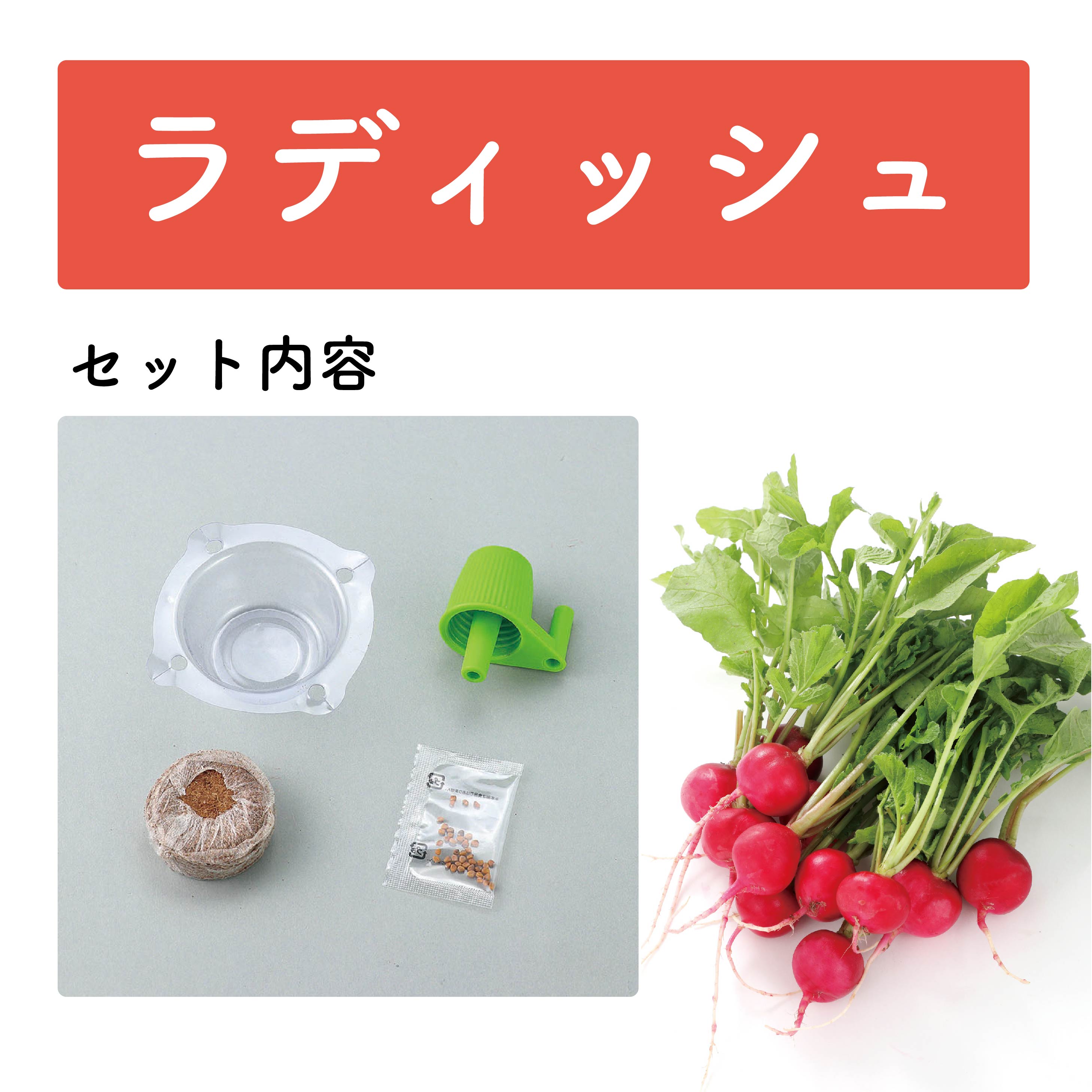 お家で楽しく栽培キット 全9種 アーテック ラディッシュ チンゲンサイ ベビーリーフ サニーレタス 水菜 小松菜 なす ピーマン いんげん 自由研究 栽培 理科 食育 2