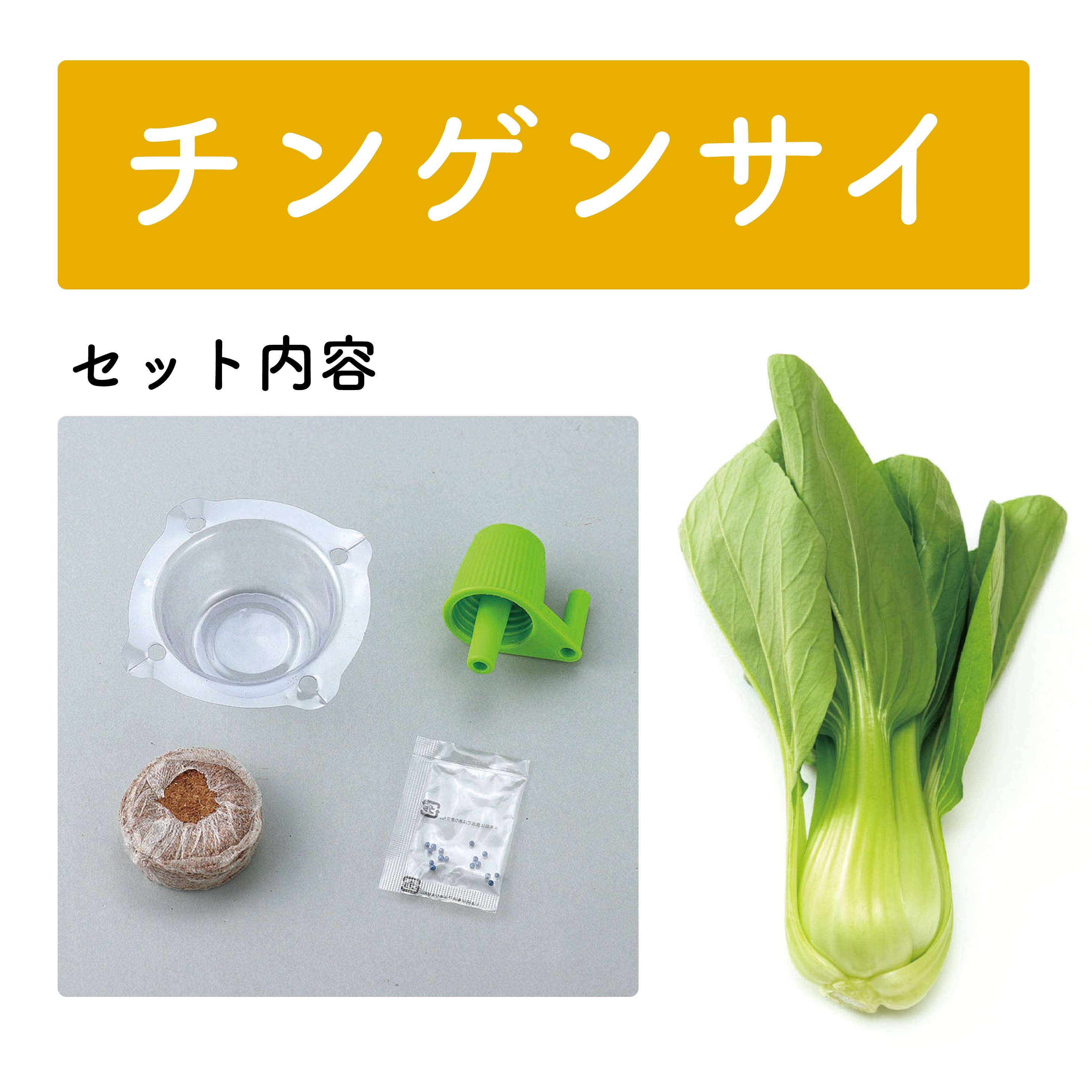 お家で楽しく栽培キット 全9種 アーテック ラディッシュ チンゲンサイ ベビーリーフ サニーレタス 水菜 小松菜 なす ピーマン いんげん 自由研究 栽培 理科 食育 3