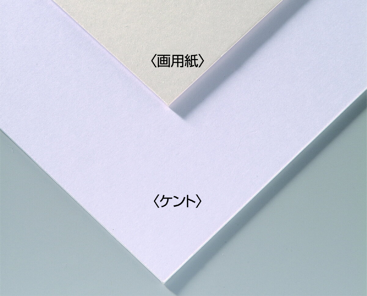 乐天商城 - 【個人宅配送不可】A&Bオリジナルアートボード B3画用紙　アーテック