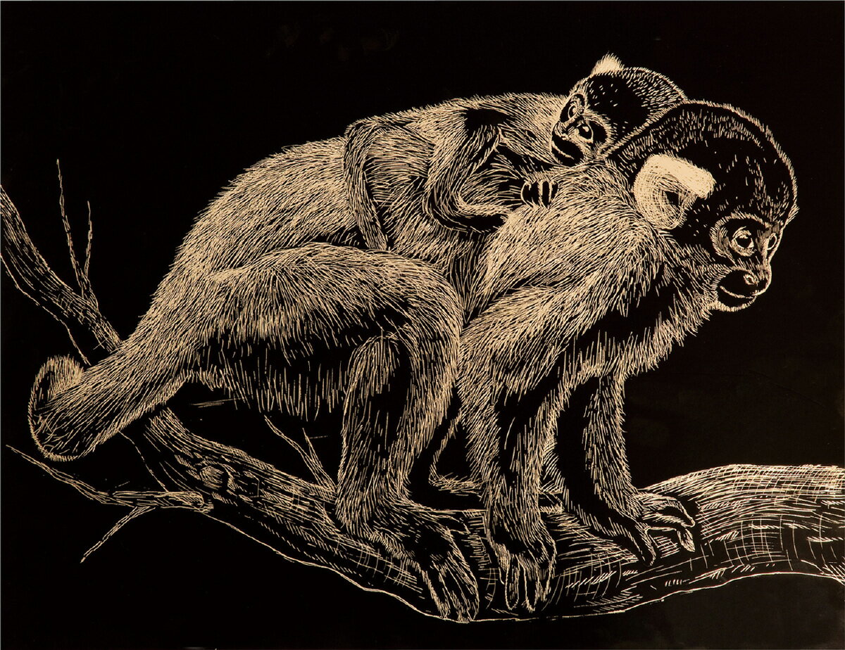 【個人宅配送不可】ゴールドスクラッチボードA4　アーテック