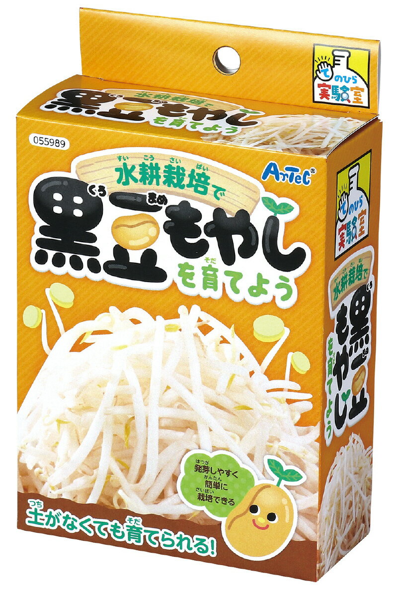 【個人宅配送不可】水耕栽培で育てる黒豆もやし　アーテック