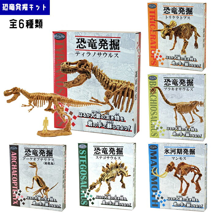 ヤマサン 恐竜発掘・氷河期発掘キット 博物館のような骨格を君の手で掘り起こそう 全6種類