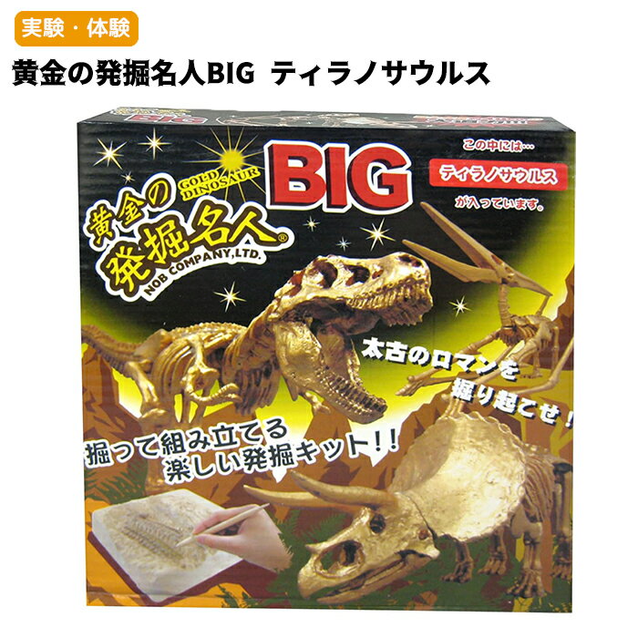 【自由工作】【実験・体験】黄金の発掘名人BIG ティラノサウルス T-REX Tレックス 完成サイズ全長約40cmのBIGサイズ!◆数量限定販売◆