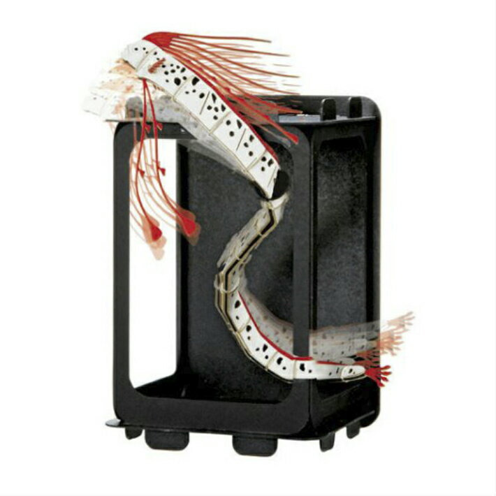 ウラノ ペーパークラフト 海の仲間たち　海箱シリーズ りゅうぐうのつかい箱　対象年齢12歳以上　難易度★★【メール便送料無料】