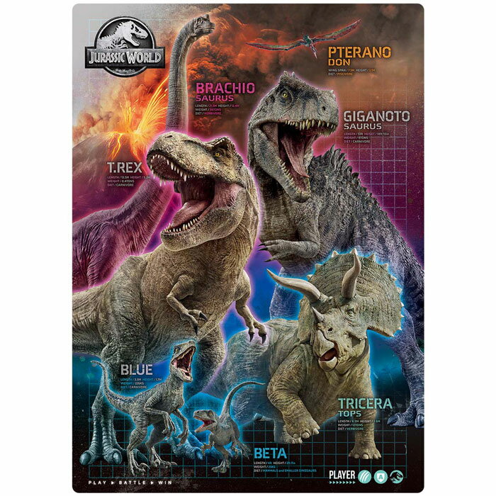 【下敷き】ジュラシックワールド 2023年新柄 恐竜 したじき 恐竜 771527401 B5サイズ メール便可