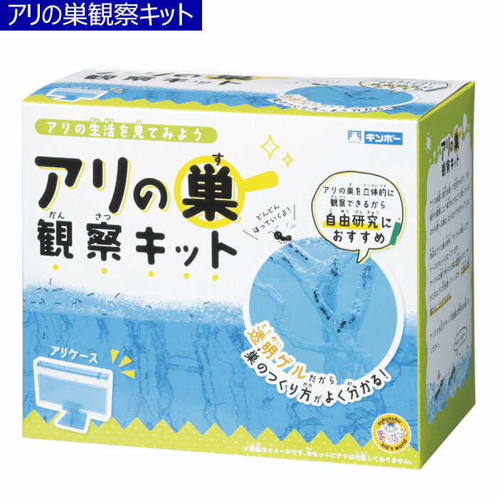 楽天スクールTown【自由工作】【飼育】アリの巣観察キット ゲルタイプのアリ飼育セット 307-060 ※アリは付属しておりません。