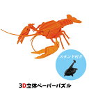 ウラノ ペーパークラフト 水の生き物 水辺シリーズ アメリカザリガニ（オレンジ） ディスプレイスタンド付き【メール便送料無料】