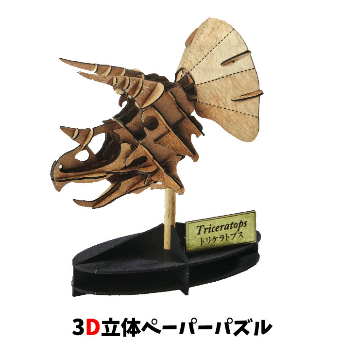 Training Toys - ウラノ ペーパークラフト 恐竜 頭骨シリーズ トリケラトプス 化石【メール便送料無料】