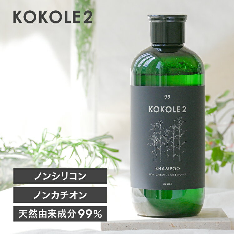 KOKOLE2 ココレドゥ シャンプー ノンカチオン ノンシリコン 280ml 送料別商品 ［パラベンフリー アルコールフリー］