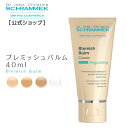 ●ポイント10倍＆割引クーポン●LA ROCHE-POSAY ラ ロッシュ ポゼ UVイデアXL プロテクションBB #01 ライト 30ml / XL ティント / トーンアップ ローズ / トーンアップ（ライト） / UVイデア XL /トーンアップ クリア【定形外郵便送料無料】