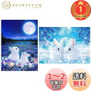 【楽天ランキング1位獲得】サムコス ダイアモンドアート キット 2枚入り 初心者向け ダイアモンド塗装 ビーズアート 全面貼り付け 壁飾り DIY手工芸品 ダイアモンドアート