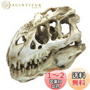 Charmoon 水槽 アクアリウム オブジェ 恐竜 化石 骨 隠れ家 シェルター オーナメント 置物 (タイプA)