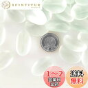 Charmoon アクアリウム 水槽 飾り石 15-25mm 彩り石 ガラス クリスタル 底砂 砂利 庭 ガーデン (クリア)