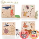 Etucdose 形合わせ パズル 木製 型はめパズル 4点セット 木製 動物 海洋 宇宙 知育玩具 英語認知 組み立て モンテッソーリおもちゃ 0歳 1歳 2...