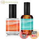 Modelones ジェルネイル プライマーセット ネイルデハイドレイト ポリッシュ ネイルジェル 長さだしジェル ジェルネイルポリッシュなど適用 自然乾燥 密着性高め 脱水 油分取り抜く 大容量15ml *2