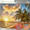 U-SITU タペストリー 壁掛け 壁飾り 海 朝日 砂浜 自然景色 オシャレ 背景 多機能 布ポスター インテリア 雰囲気転換(サイズ:長さ150cm x 幅200cm)カラー:GT0039B