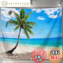 U-SITU タペストリー 壁掛け 壁飾り 青海 ココナッツの木 青空 自然景色 オシャレ 背景 多機能 布ポスター インテリア 雰囲気転換(サイズ:長さ150cm x 幅200cm)カラー:GT0359B