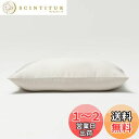 NELPANDA テンセルリヨセル 枕カバー TREEシリーズ シルクの風合い 美髪 美肌 静電気防止 寝癖軽減 抗菌防臭 敏感肌 オールシーズン ピローケース ベッドリネン シルクの代替品 封筒型デザイン(ベージュ, 43×63cm)