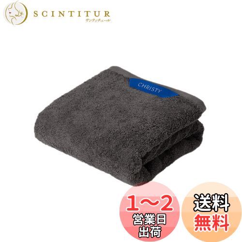 Christy ߥ˥Х 1 åȥ100 50100cm ۿ® 饰奢꡼ ۥƥ饤 դä   P...