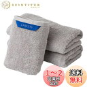 Christy ビッグフェイスタオル 3枚セット コットン100% 約40×100cm 吸水速乾 ラグジュアリー ホテルライク ふっくら タオル 綿 Pimlico Silver