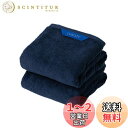 Christy ミニバスタオル 2枚セット コットン100% 約50×100cm 吸水速乾 ラグジュアリー ホテルライク ふっくら タオル 綿 Pimlico Midnight