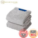 Christy ミニバスタオル 2枚セット コットン100% 約50×100cm 吸水速乾 ラグジュアリー ホテルライク ふっくら タオル 綿 Pimlico Silver