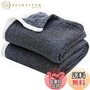 【送料無料】SE ガーゼケット タオルケット シングル セミダブル 4重 ガーゼ生地 綿100% お昼寝ケット 肌掛け布団 安心する柔らかさ 吸湿通気 抗菌・防臭・防ダニ 洗える オールシーズン ブラック 150X200cm 「SE Softexly」