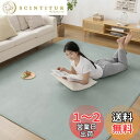 Zdeysun カーペット ラグ ラグマット滑り止め付 洗える 200×300cm 約4.5畳 絨毯 防ダニ 抗菌 防臭 オールシーズン快適に使用 床暖房 ホッ...
