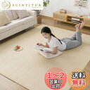 Zdeysun カーペット ラグ ラグマット滑り止め付 洗える 200×300cm 約4.5畳 絨毯 防ダニ 抗菌 防臭 オールシーズン快適に使用 床暖房 ホッ...