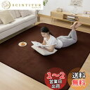 Zdeysun カーペット ラグ ラグマット滑り止め付 洗える 200×300cm 約4.5畳 絨毯 防ダニ 抗菌 防臭 オールシーズン快適に使用 床暖房 ホッ...
