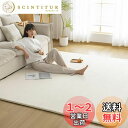 Sun Deco ラグ カーペット 低反発 ラグマット 極厚25mm 200x300cm 4畳 オールシーズン 滑り止め付 抗菌 防臭 防ダニ 踏み心地ふわふわ...