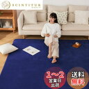 Sun Deco カーペット ラグ 洗えるラグマット 絨毯 200×250cm(約3畳) 抗菌 防臭 防ダニ 滑り止め付き オールシーズン 床暖房 ホットカーペット対応 丸洗い フランネル 無地・ネイビー