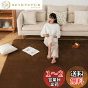 Sun Deco カーペット ラグ 洗えるラグマット 絨毯 200×250cm(約3畳) 抗菌 防臭 防ダニ 滑り止め付き オールシーズン 床暖房 ホットカーペット対応 丸洗い フランネル 無地・ブラウン