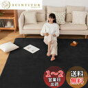 Sun Deco カーペットラグ 洗えるラグマット 絨毯 185×185cm(約2畳) 抗菌 防臭 防ダニ 滑り止め付き オールシーズン 床暖房 ホットカーペット対応 丸洗い フランネル 無地・ブラック