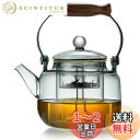 ポカロティー 耐熱ガラスティーポット 透明やかん 900ml 上手型 丈夫な持ち手 茶葉の蒸らし・煮出し対応 着脱式ガラス茶こし2種類付き 墨色ガラス茶壷 直火...