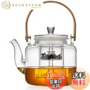 ポカロティー ティーポット 耐熱ガラス やかん おしゃれ 紅茶 ポット 急須 透明ガラスポット 直火対応 大容量 1000ml ガラス茶こし付き 蘭沢提梁壺 積...