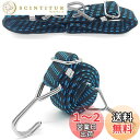 SHITORASU 荷台用 ゴム紐 ゴムバンド 1m/3m 幅3cm 弾性よい 長さ調節可能 金属製フック付き 2本入り (3m)