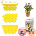 捕虫シート、防虫シート、粘着シート、粘着性、防虫用品、24枚セット 、害虫トラップ粘着紙-黄色、粘着トラップ、防虫トラップ、トラップ粘着シート、無臭、無毒、強力両面接着剤、フラワーポット用、フィールド&屋内、簡単なインストール(24) (24)