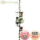 BAOYOUNI 突っ張り式 プランタースタンド フラワースタンド 園芸ラック コーナー盆栽スタンド 植物スタンド 植物棚飾り台 花台 室内 花置き棚 観葉植物...