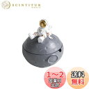 umely 小物入れ インテリア 宇宙飛行士 おしゃれ ゴールド 樹脂 キャラクター 卓上 蓋付き 密閉 プレゼント 大容量 (ゴールド)