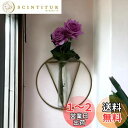 umely 壁掛け一輪挿し インテリア 花瓶 フラワー 試験管 ガラス 吊り下げ フェイクグリーン 花 装飾 (typeD)