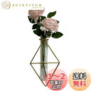 umely 壁掛け一輪挿し インテリア 花瓶 フラワー 試験管 ガラス 吊り下げ フェイクグリーン 花 装飾 (typeE)