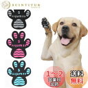 Aqumax 犬 滑り止め シール48枚犬用滑り止め 爪先 グリップ トラクションパッド粘着力が強 老犬用 歩行アシスト 弱った爪先 足を補強 ドッグ シューズ ブーティー ソックス 交換できる (S,3色)