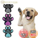 Aqumax 犬 滑り止め シール48枚犬用滑り止め 爪先 グリップ トラクションパッド粘着力が強 老犬用 歩行アシスト 弱った爪先 足を補強 ドッグ シューズ ブーティー ソックス 交換できる (XXL,3色)