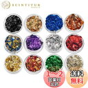 金箔 銀箔 金箔シート ヘア用 フレーク レジン 封入 ホイル 金箔 デコレーション金箔 ヘア用成人式 レジン 金箔 模造金箔 ゴールドフレーク 金箔レジン用 髪 ネイル用 金箔 ケース入り 絵画 手芸 装飾用 12色 PureSino (12色)