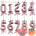 Selinear バースデーキャンドル ナンバーキャンドル 数字 キャンドル ロウソク 数字 0-9 10点セット 高級 ろうそく 誕生日 ろうそく おしゃれィ...