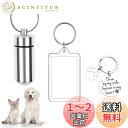Selinear ペットメモリアルペンダント 遺骨 遺灰 3点セット カプセル キーホルダー+フォトフレームストラップ+ドッグキー ステンレス製 防水型 高い密...