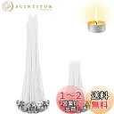 Selinear キャンドル芯 100pcs ステンレス固定用ホルダー 綿100%のキャンドル材料 パラフィン 環境に安全な素材 DIY手作り (10cm+20cm)