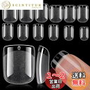 Selinear ネイルチップ 子供 120枚セット 超薄 短い四角 自然なフィット ネイル用品 DIY ショート 女の子の手の装飾 人気 収納ケース付 (透明, 12サイズ)