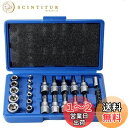 HYCDIYTS トルクスビットソケットセット 29点 E&T型トルクスソケット トルクスネジ用ビットセット 花形 星形 1/4